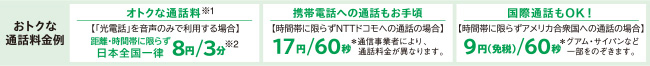 おトクな通話料金例